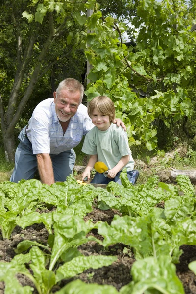 Garçon jardinage avec grand-père — Photo