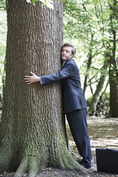 Uomo d'affari che abbraccia albero — Foto Stock