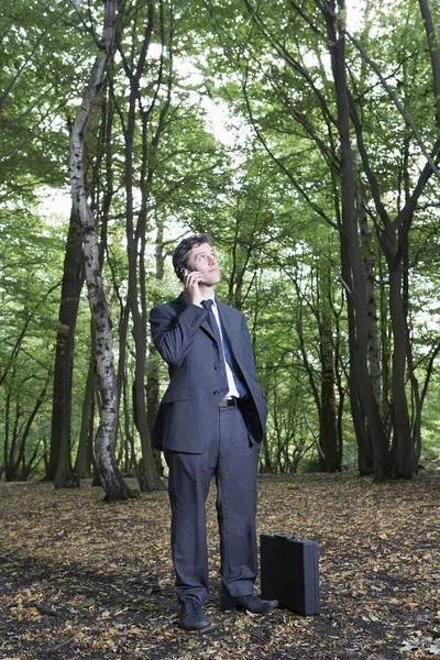 Uomo d'affari che parla — Foto Stock