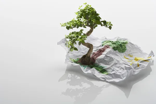 Tree Growing From Drawing — Stock Photo, Image