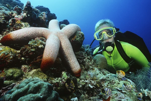 Scuba diver beside large starfish — Stock Photo, Image