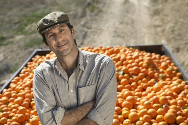 Farmer standing by truck with oranges — Stock Photo, Image