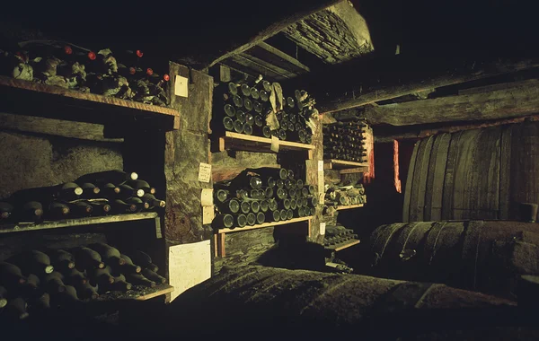 Underground wine cellar — Stock Photo, Image