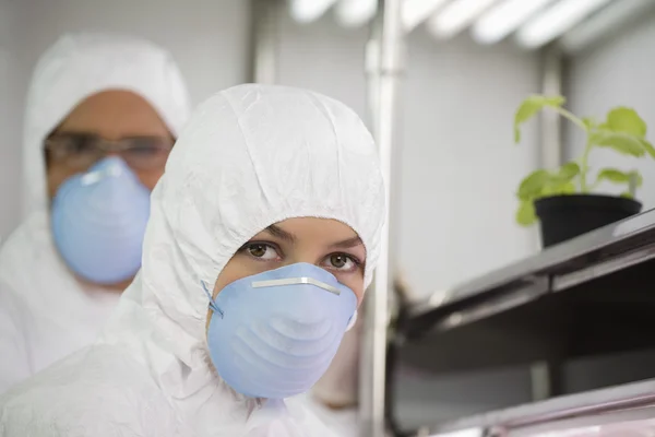 Travailleurs en laboratoire — Photo