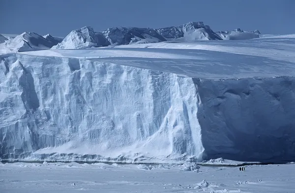 İmparator penguenler ile buzdağı — Stok fotoğraf