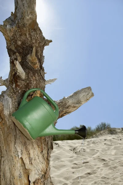 Watering can hanging on dead tree trunk — Stock Photo, Image