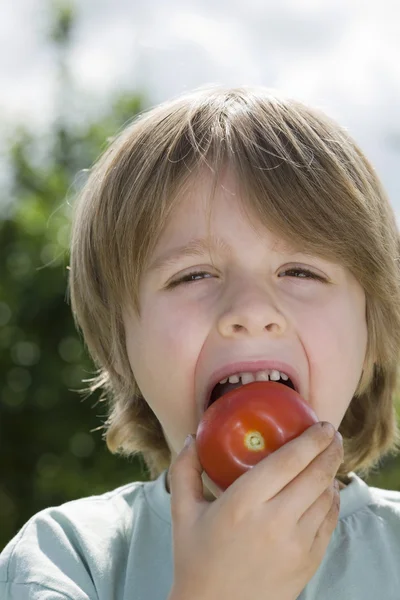 Chlapec jíst rajčata — Stock fotografie
