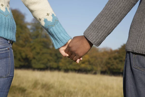 Par i fältet som håller hand — Stockfoto