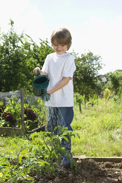 Boy regar las plantas en el jardín — Foto de Stock