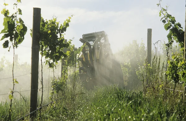 Tractor rociando viñedo con fungicida — Foto de Stock