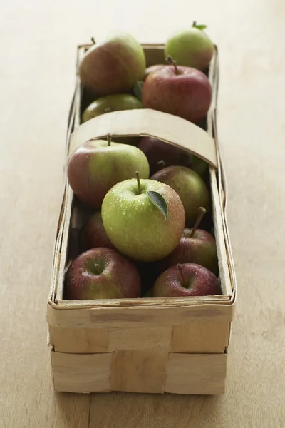 Manzanas frescas recogidas en cesta — Foto de Stock