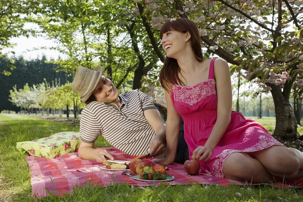 Paar die picknicken — Stockfoto
