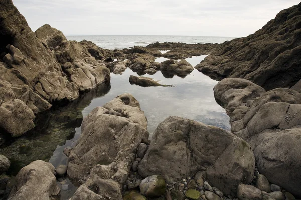 Bord de mer rocheux — Photo