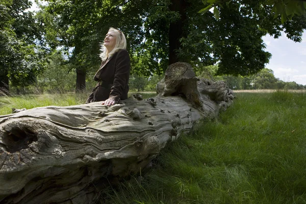Frau sitzt auf totem Baum — Stockfoto