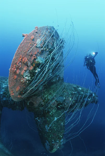 Bikini atoll, marshall Adaları — Stok fotoğraf