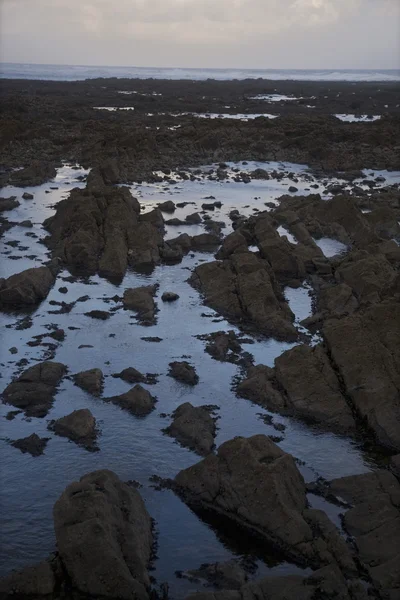 Bord de mer rocheux — Photo