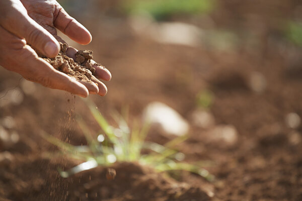 Man holding soil