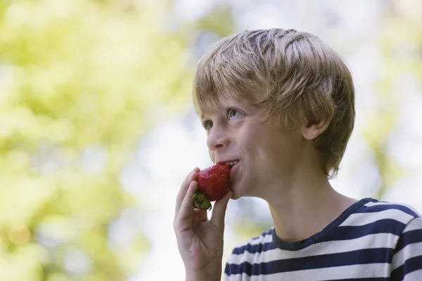 Boy eating strawberry — Stock Photo, Image