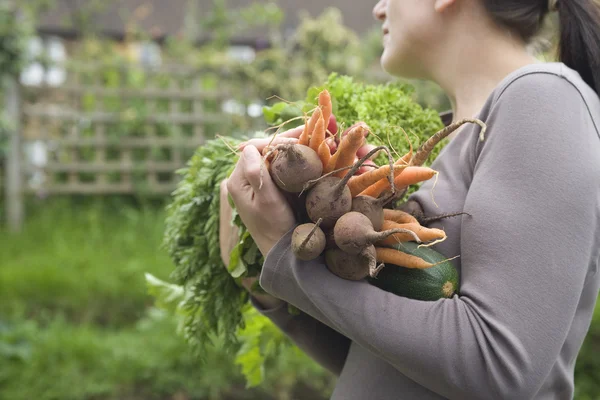 Mulher segurando legumes — Fotografia de Stock