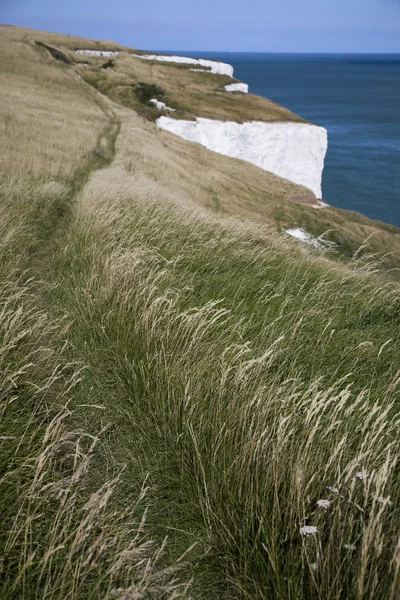 Cliff tarafından seaside — Stok fotoğraf