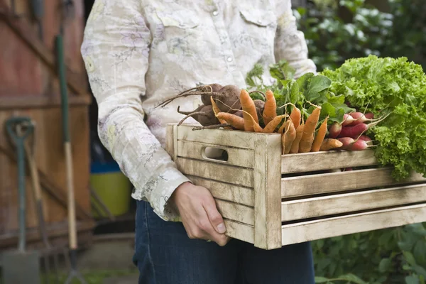 Mann trägt Kiste mit Gemüse — Stockfoto