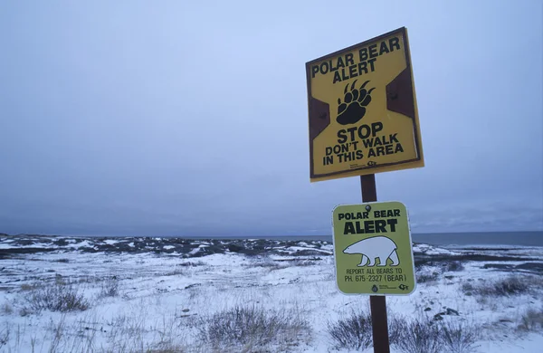 Polar Bear information sign — Stock Photo, Image