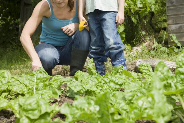 Zahradnictví s matkou chlapce — Stock fotografie