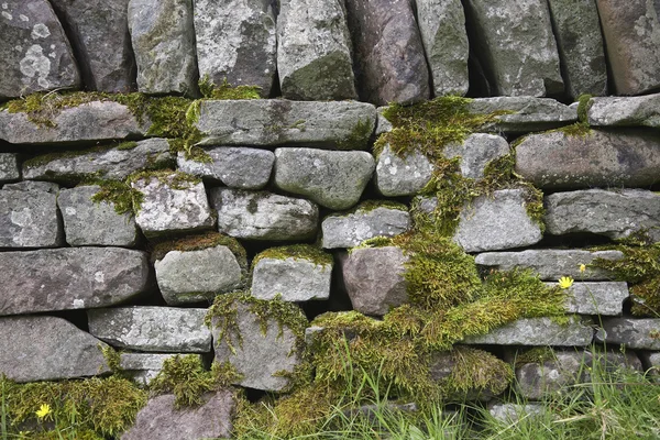 Stenen muur — Stockfoto