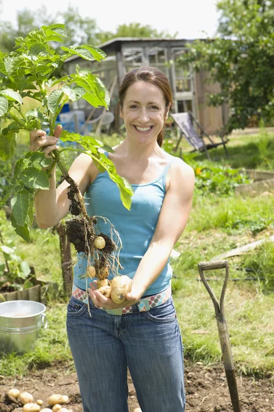 Mujer sosteniendo patatas —  Fotos de Stock