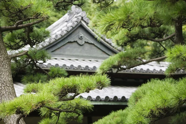 Palais impérial de Tokyo — Photo