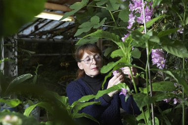 kadın botanikçi inceleyerek çiçekler