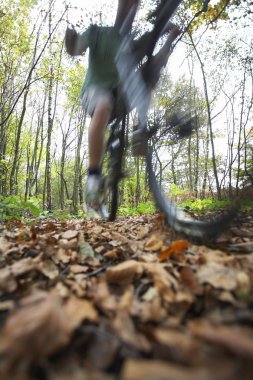 woodland bisiklet üzerinde kişi