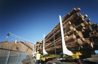 ormansızlaşma bir çiftlikte woodchipping için 