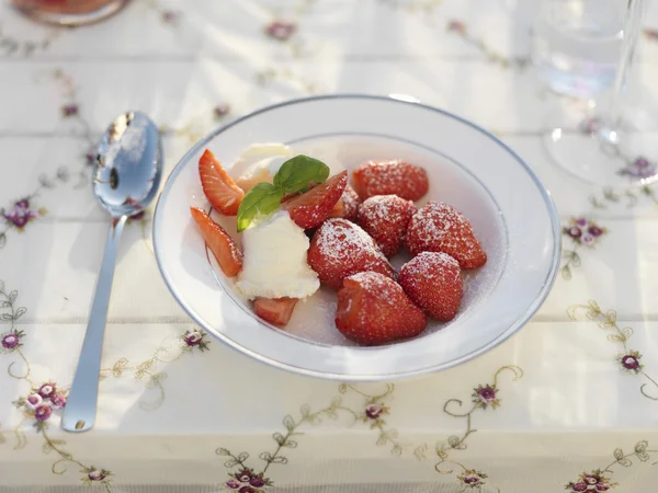 Strawberry öknen — Stockfoto