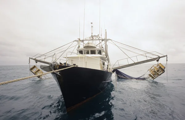 Arrastrero de pesca de gambas — Foto de Stock