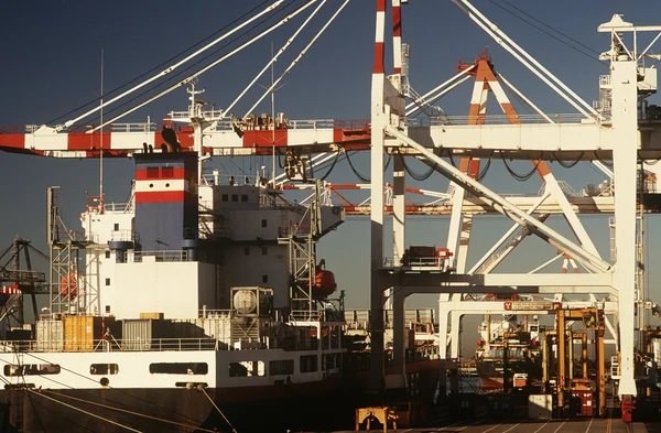 Containership v doku — Stock fotografie
