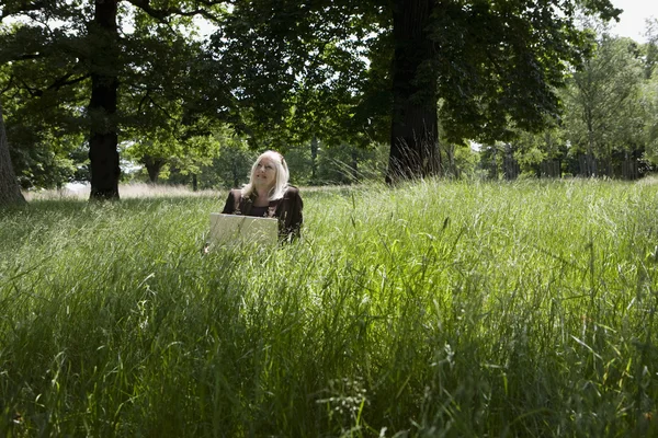 Mulher usando um laptop em um prado — Fotografia de Stock