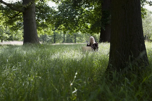 Woman Using a Laptop in a Meadow — Stock Photo, Image