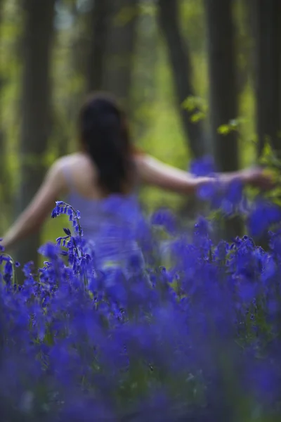 Žena prochází květy — Stock fotografie