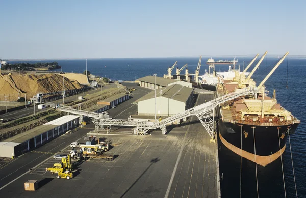 Wood chips loading onto ship — Stock Photo, Image