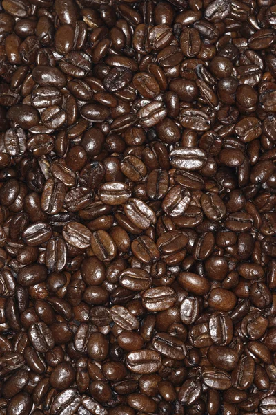 Coffee beans — Stock Photo, Image