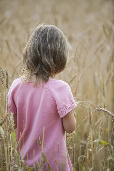 Маленькая девочка в поле — стоковое фото
