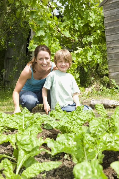 Хлопчик садівництво з матір'ю — стокове фото