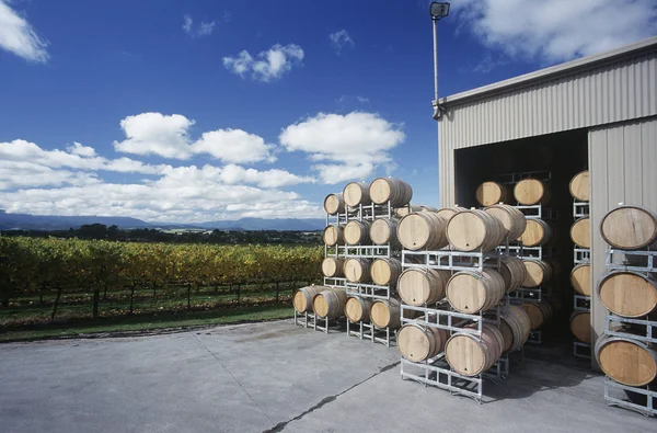 Wine stored in barrels — Stock Photo, Image