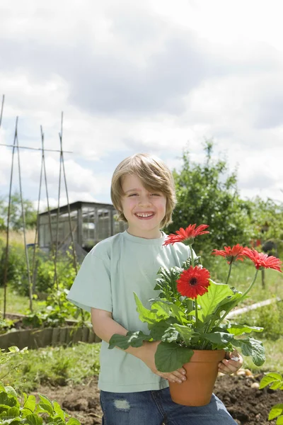 Jongen bedrijf bloemen in de tuin — Stockfoto