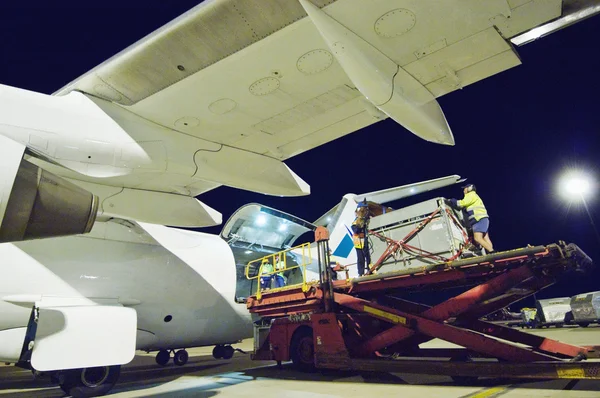 People loading aeroplane — Stock Photo, Image