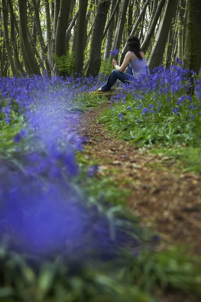 Frau pflückt Wildblumen — Stockfoto