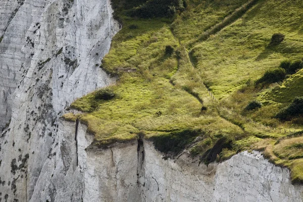 Green coastline cliff — Stock Photo, Image