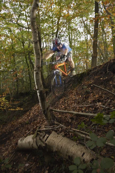 Biciclista de montanha na floresta — Fotografia de Stock