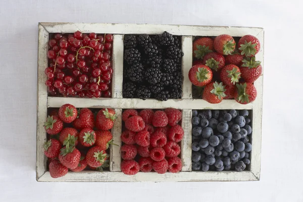 Асорті ягідних фруктів в контейнері — стокове фото